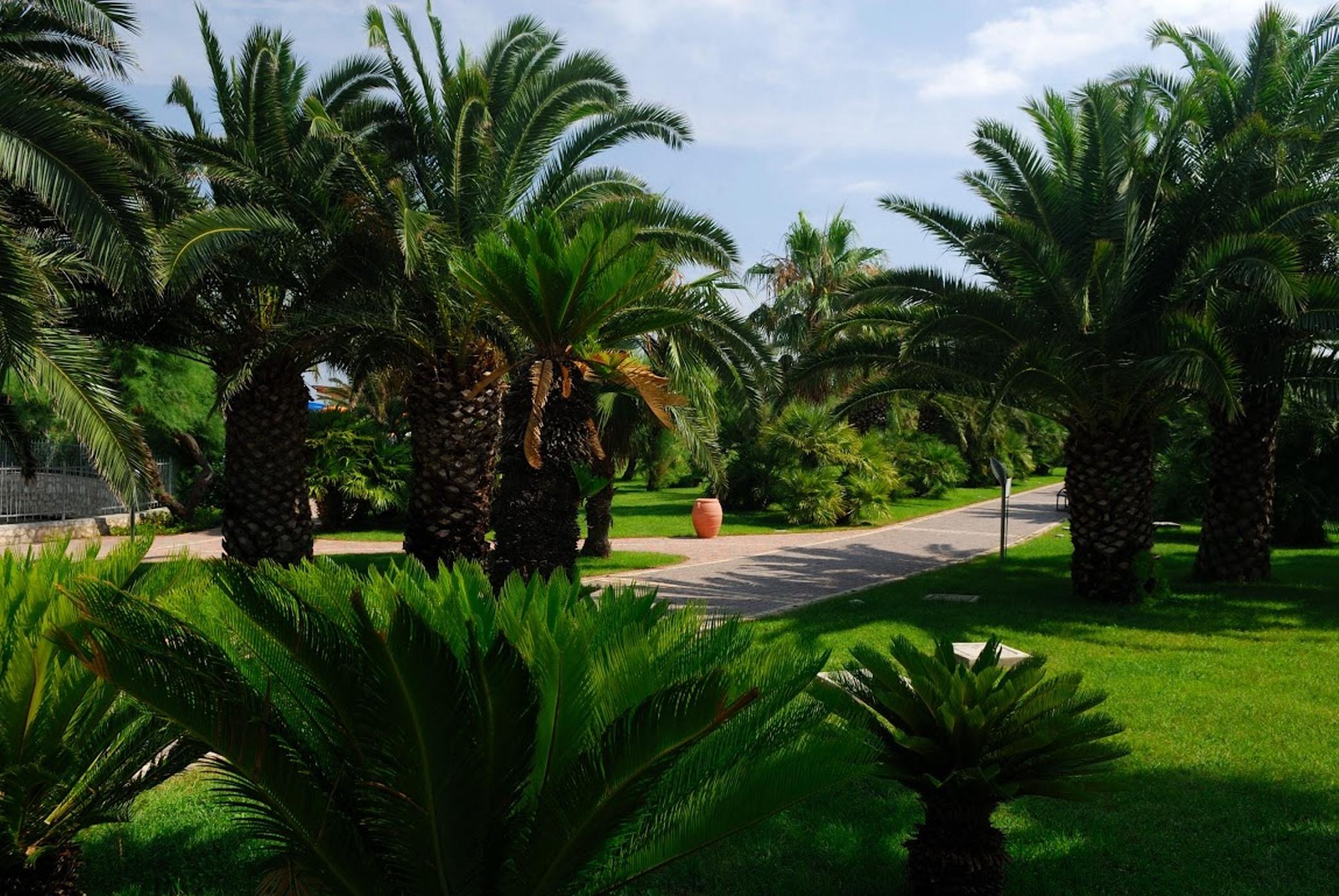 Granserena Hotel Torre Canne Exteriör bild